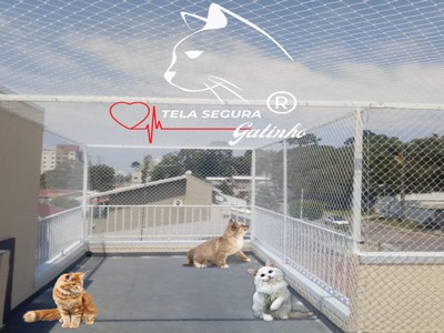 Como escolher redes de proteção para gatos sem comprometer a estética do imóvel