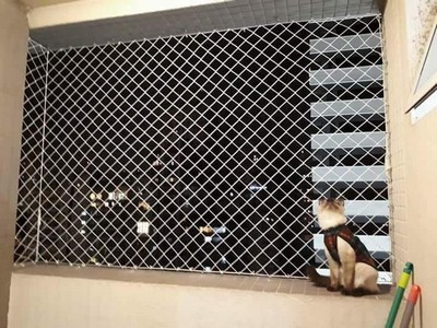 Telas de proteção para gatos: Dúvidas mais comuns respondidas por especialistas