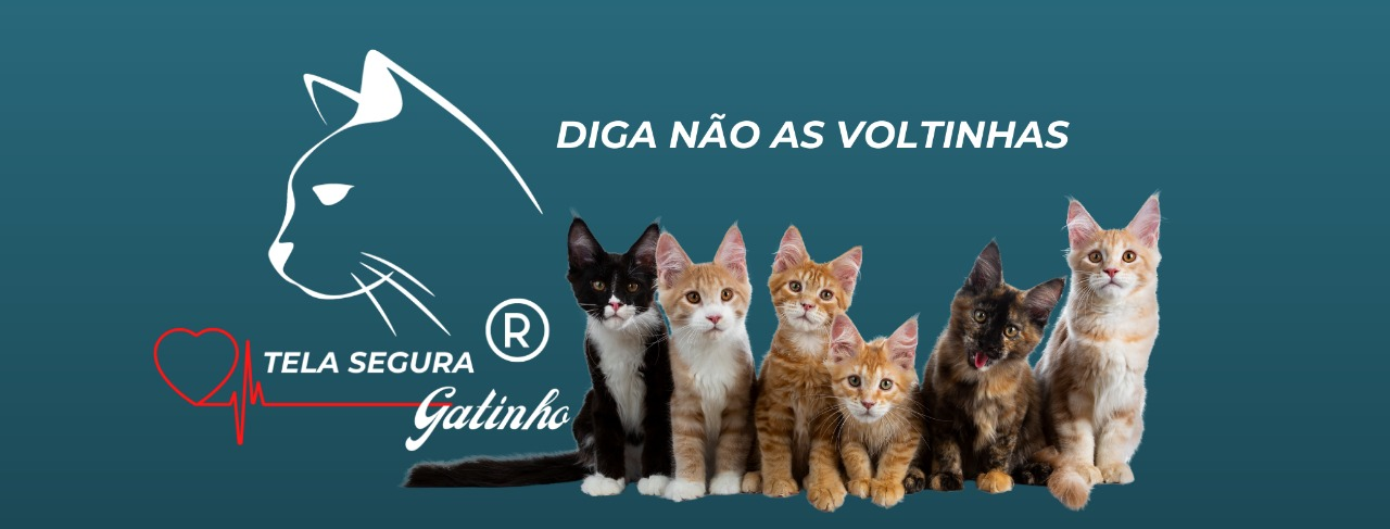  Tela Segura Gatinho